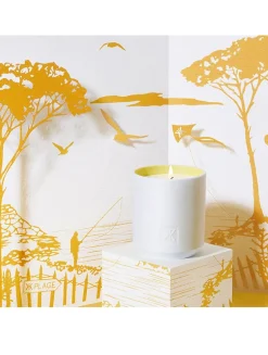 Les Tamaris Scented Candle