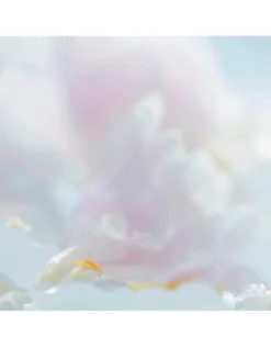 L'Heure Diaphane Eau de Toilette