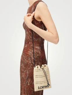 Loewe x Paula's Ibiza Raffia Crossbody Bag