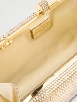 Long Slide Crystal Clutch