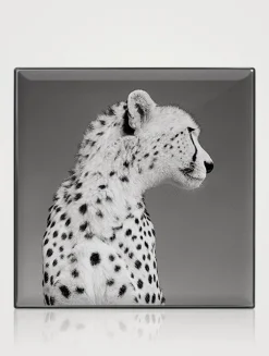 Luminescent Eye Shade