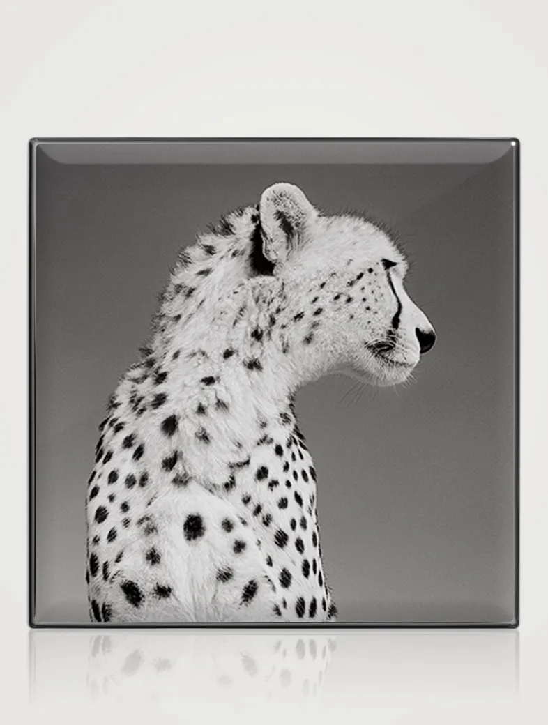 Luminescent Eye Shade