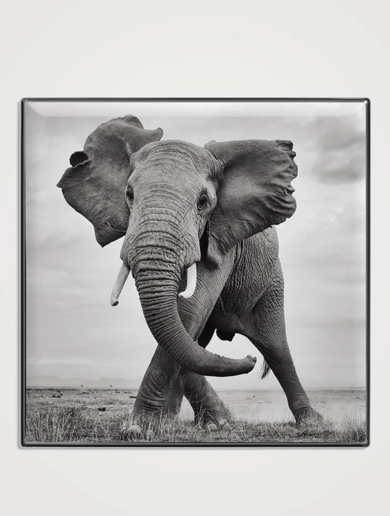 Luminescent Eye Shade