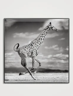 Luminescent Eye Shade