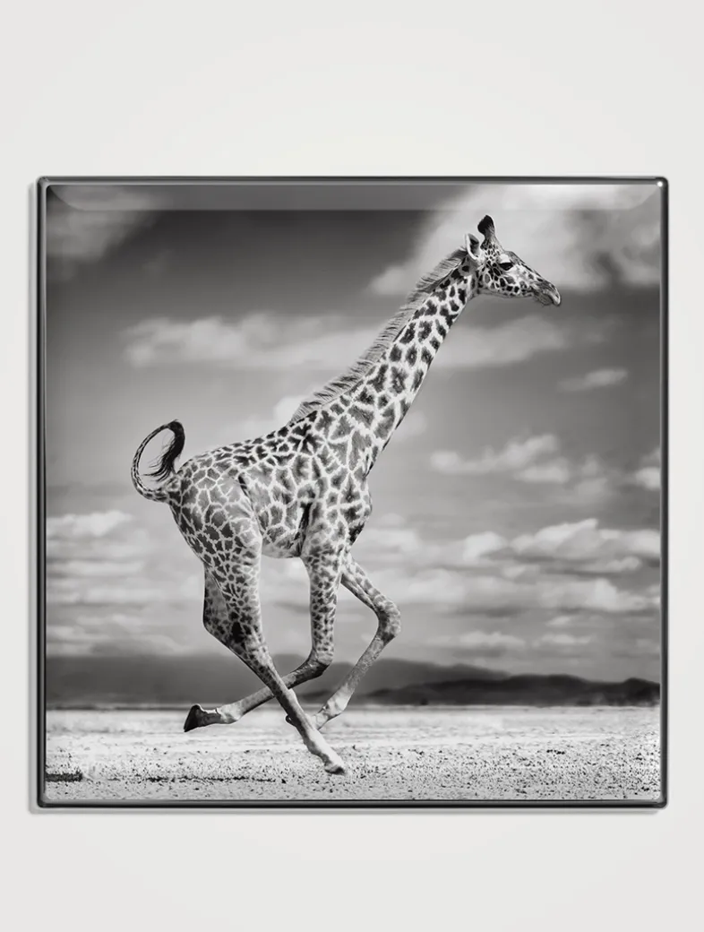 Luminescent Eye Shade