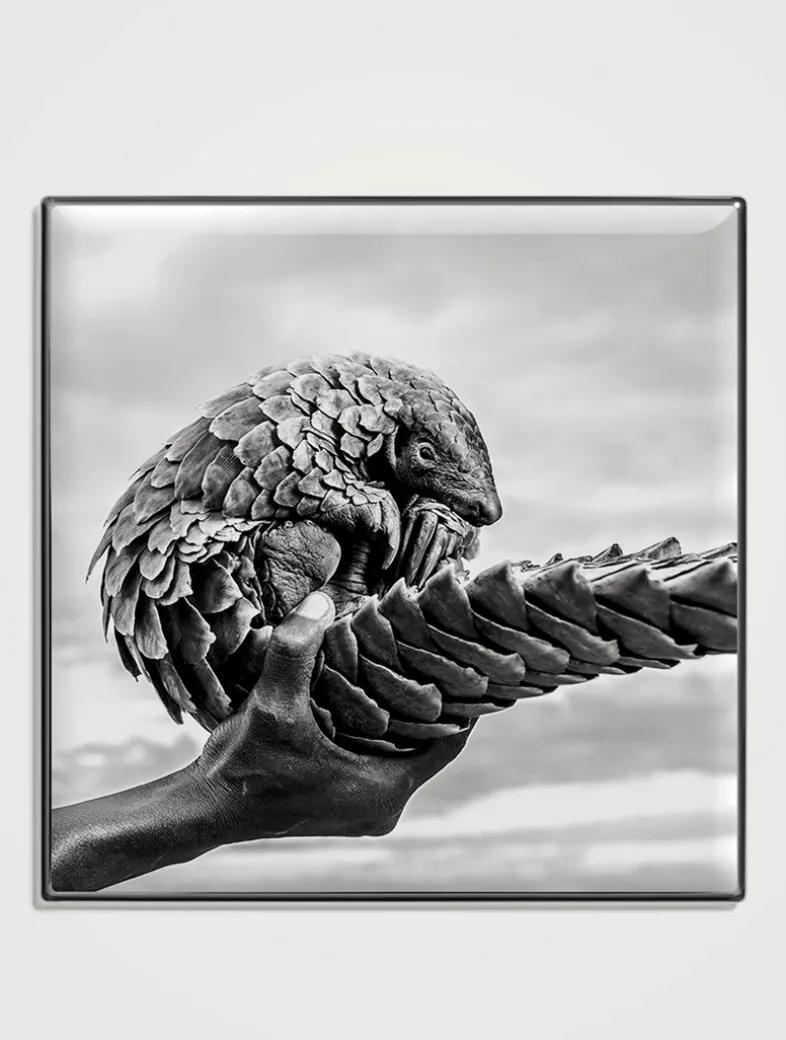 Luminescent Eye Shade