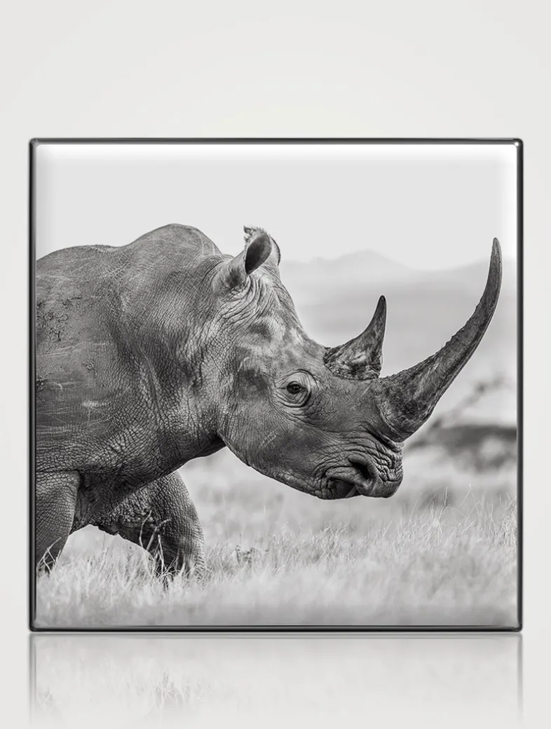 Luminescent Eye Shade