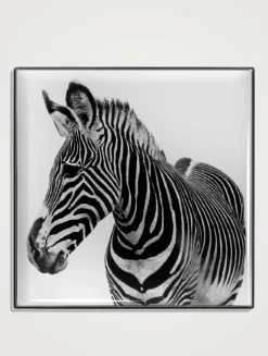 Luminescent Eye Shade