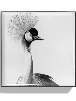 Luminescent Eye Shade - Crane