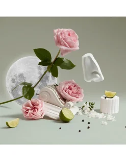 Luna Body and Hand Wash