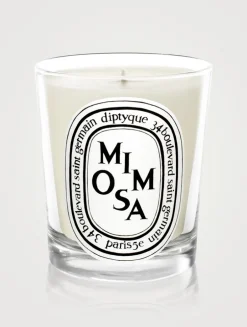 Mimosa Scented Candle