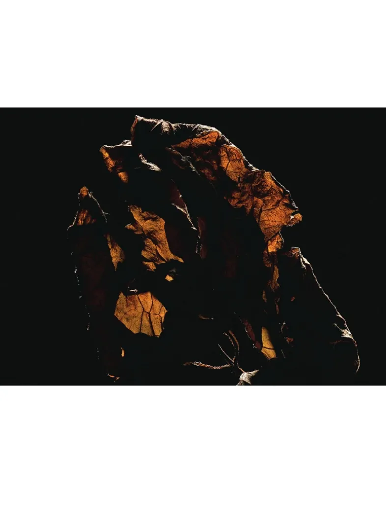 Mon Paris Eau de Parfum