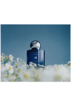 Moonlit Camomile Cologne