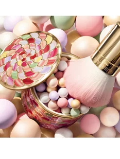 Météorites Powder brush