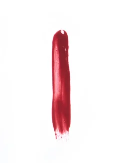 Nourishing Lip Gloss