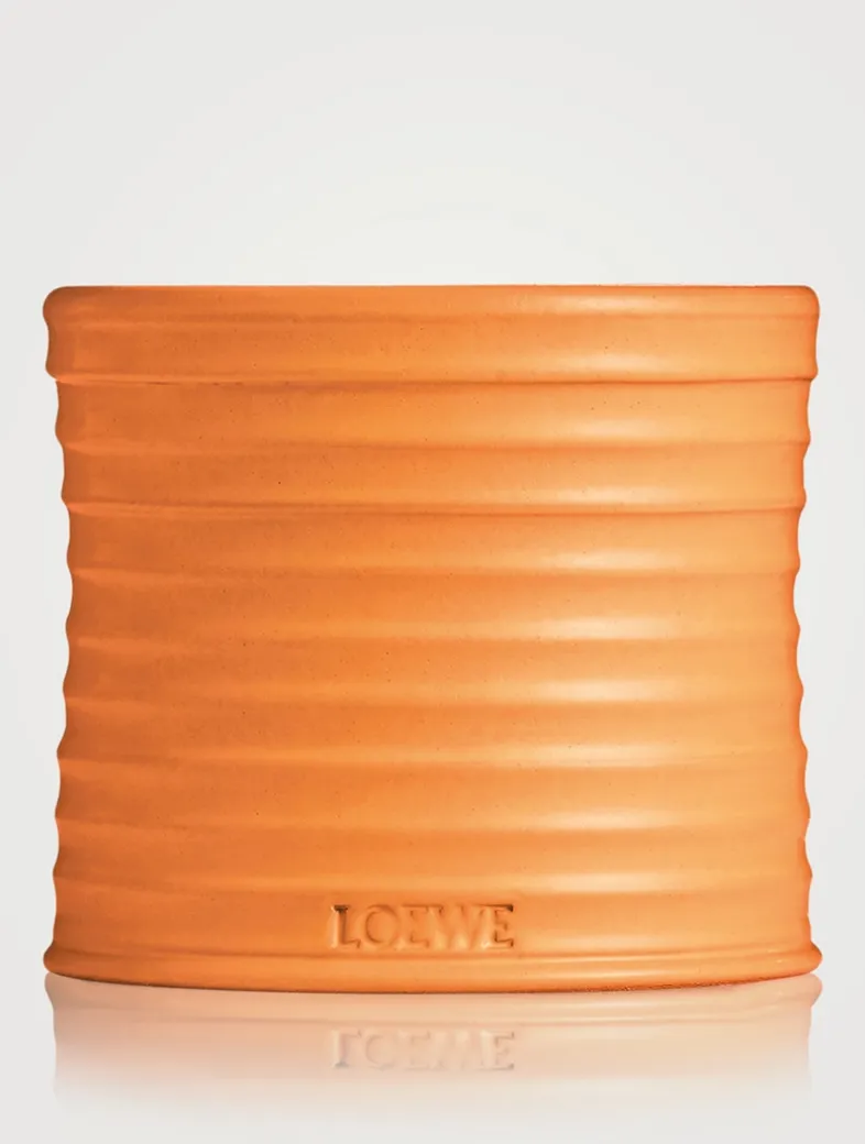 Orange Blossom Candle