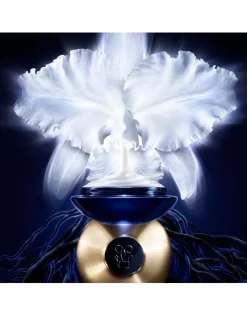 Orchidée Impériale Cream