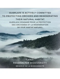 Orchidée Impériale The Foundation Concentrate