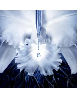 Orchidée Impériale The Molecular Concentrate Eye Cream