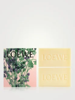 Oregano Small Solid Soap Duo Set