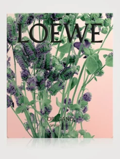 Oregano Small Solid Soap Duo Set