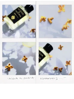 Osmanthus Eau De Parfum