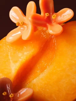 Osmanthus Nectar Eau de Parfum