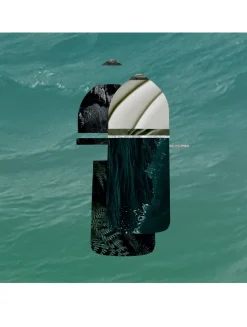 Pasha Édition Noire Eau de Toilette