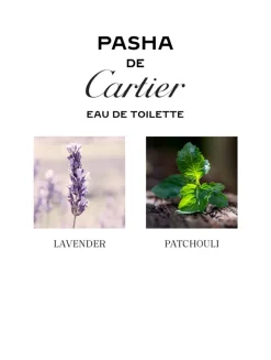 Pasha Eau De Toilette