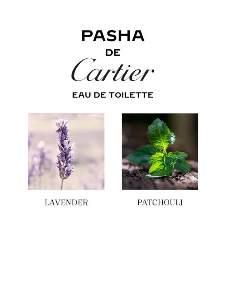 Pasha Eau De Toilette