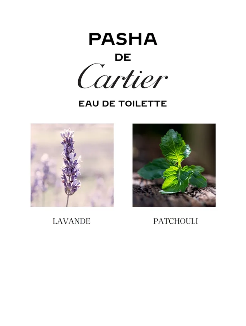 Pasha Eau De Toilette