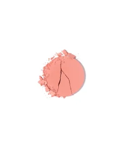 Philanthropy Cheek Shade