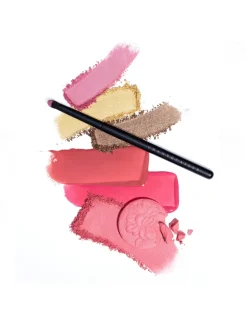 Precision Blend Brush