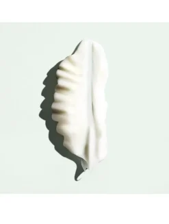 Priming Lotion Leave-In Conditioning Detangler