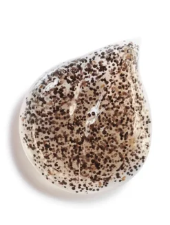 Purifying And Radiance-Revealing Vanilla Seed Face Scrub