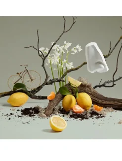 Quercus Eau de Cologne