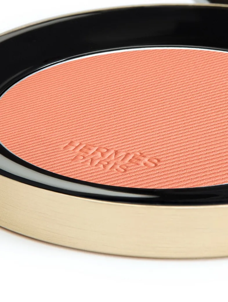 Rose Hermès Silky Blush Powder