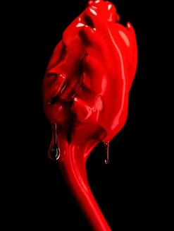 Rose of No Man's Land Absolu de Parfum