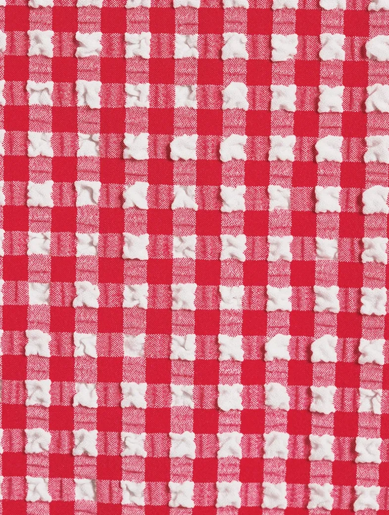 Seersucker Mini Dress In Gingham Print