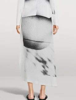 Shadow Study Pleats Skirt