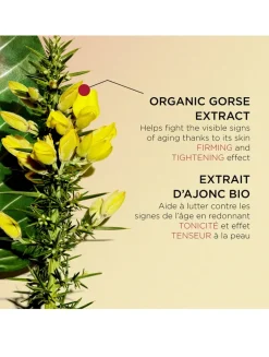 Super Restorative Night - All Skin Types