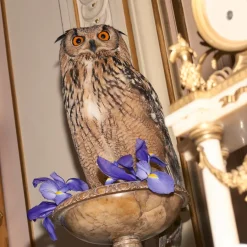 The Alchemist's Garden Tears of Iris Eau de Parfum