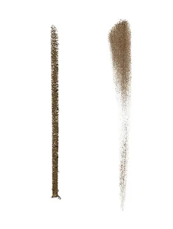 The Brow Multi-Tasker