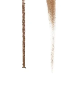 The Brow Multi-Tasker