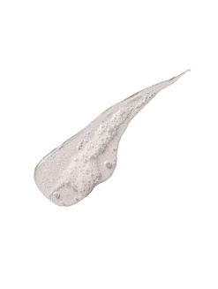 The Daily Cleansing Protocol