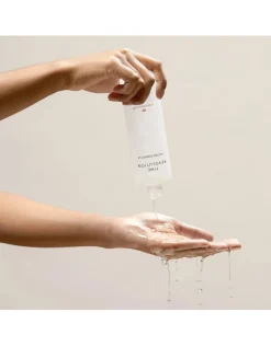 Time Revolution The First Essence 5X