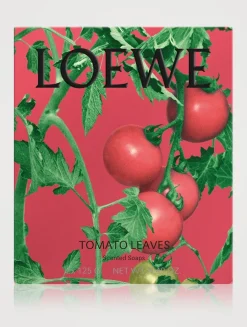 Tomato Leaves Small Solid Soap Duo Set