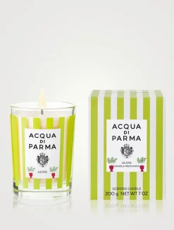 Ulivo Candle