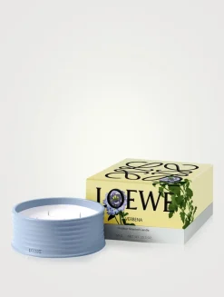 Verbena Outdoor Candle