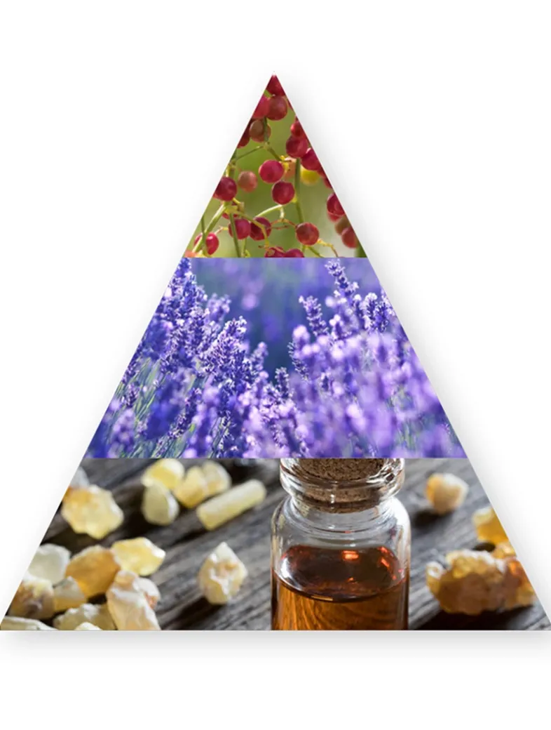 Viking Cologne Eau de Parfum